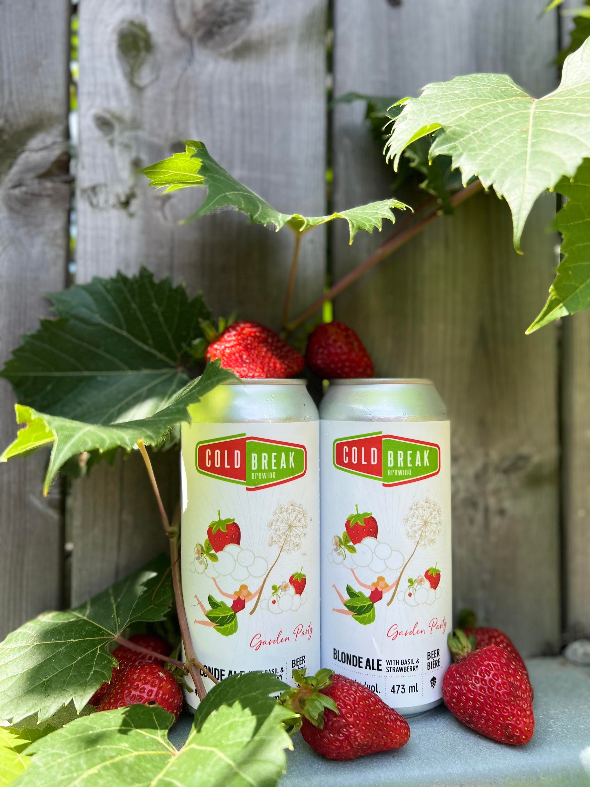 Cold Break Brewing