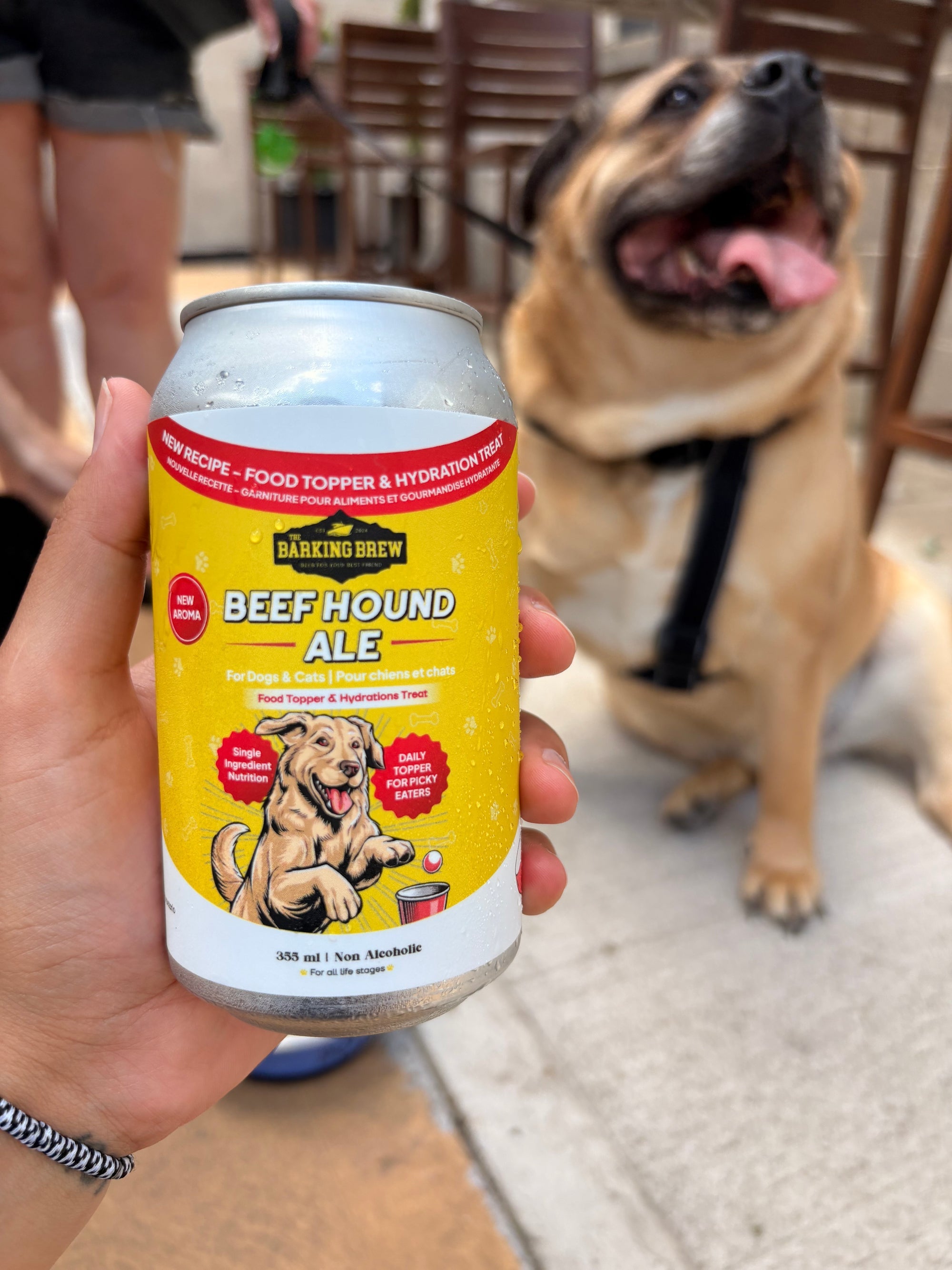 Dog-friendly patio